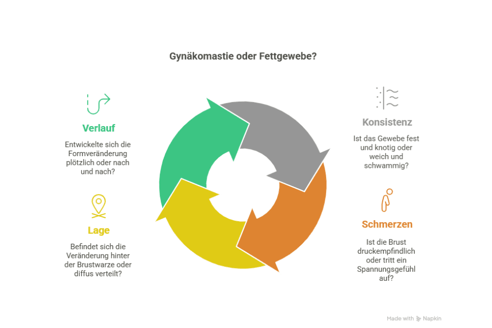 Gynäkomastie oder Fettgewebe? Unterschiede bei Konsistenz, Schmerzen, Lokalisation, Verlauf