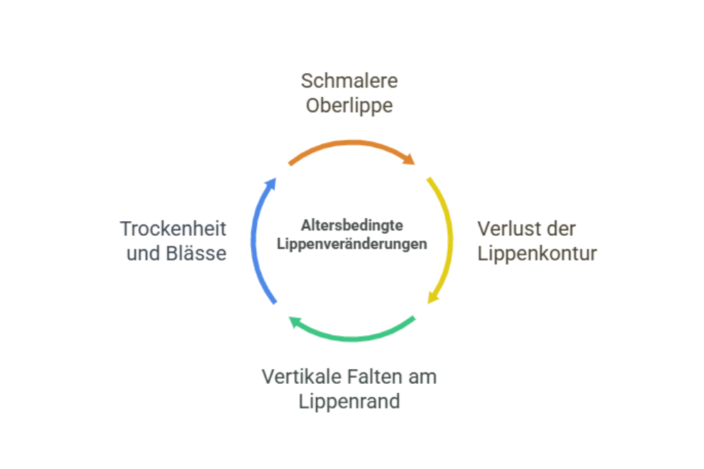 Altersbedingte Lippenveränderungen