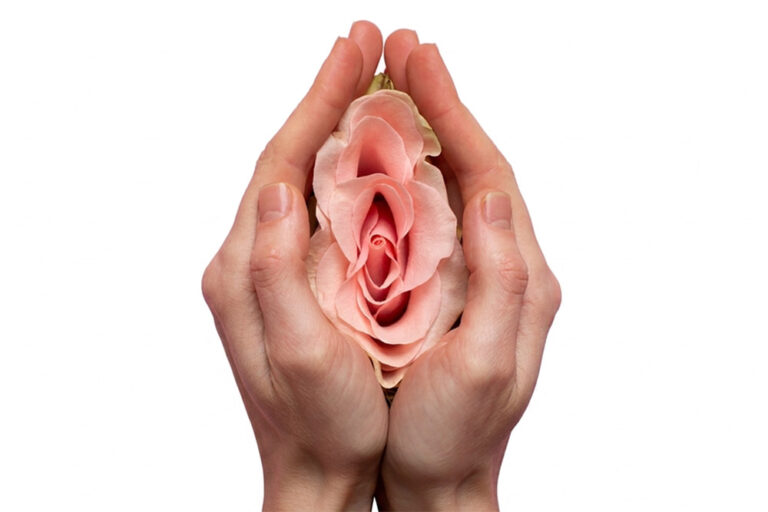 Frauenhände halten eine Rosenblüte