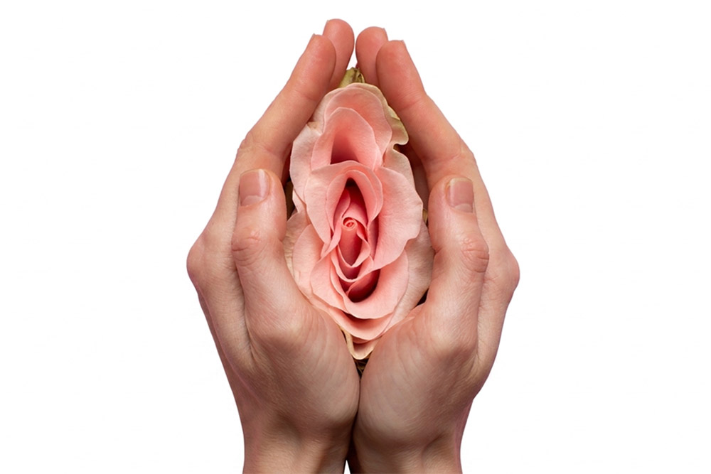 Frauenhände halten eine Rosenblüte